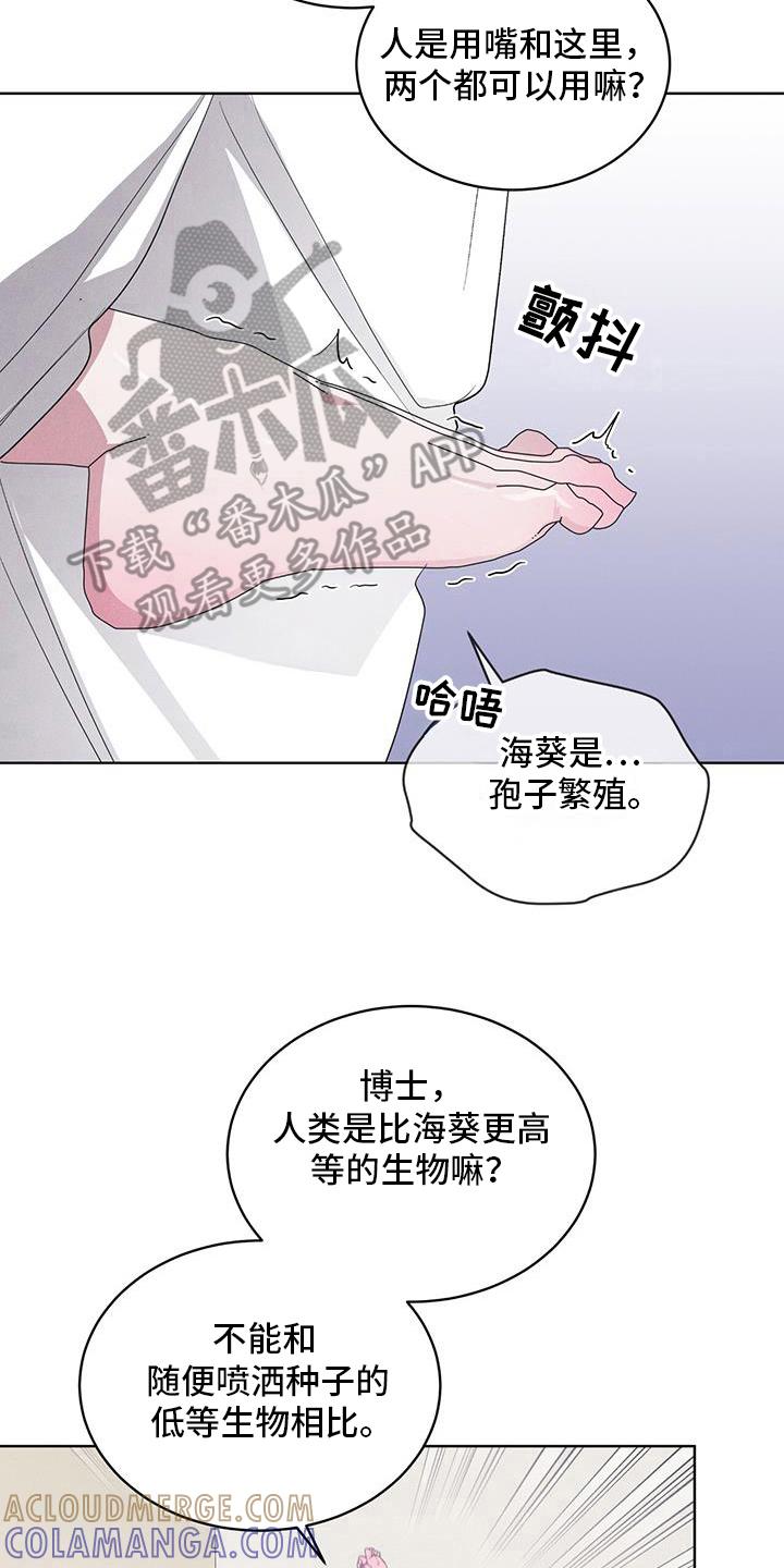 第98章：【第二季】原来走了-彩虹城-Pnaiuenm（第7张）