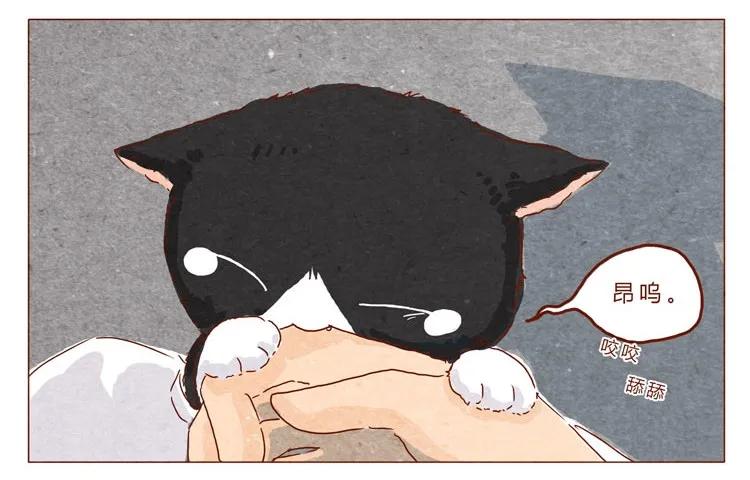 番外跟你很熟吗-喂，看见耳朵啦-特雷西胡,漫漫漫画（第14张）