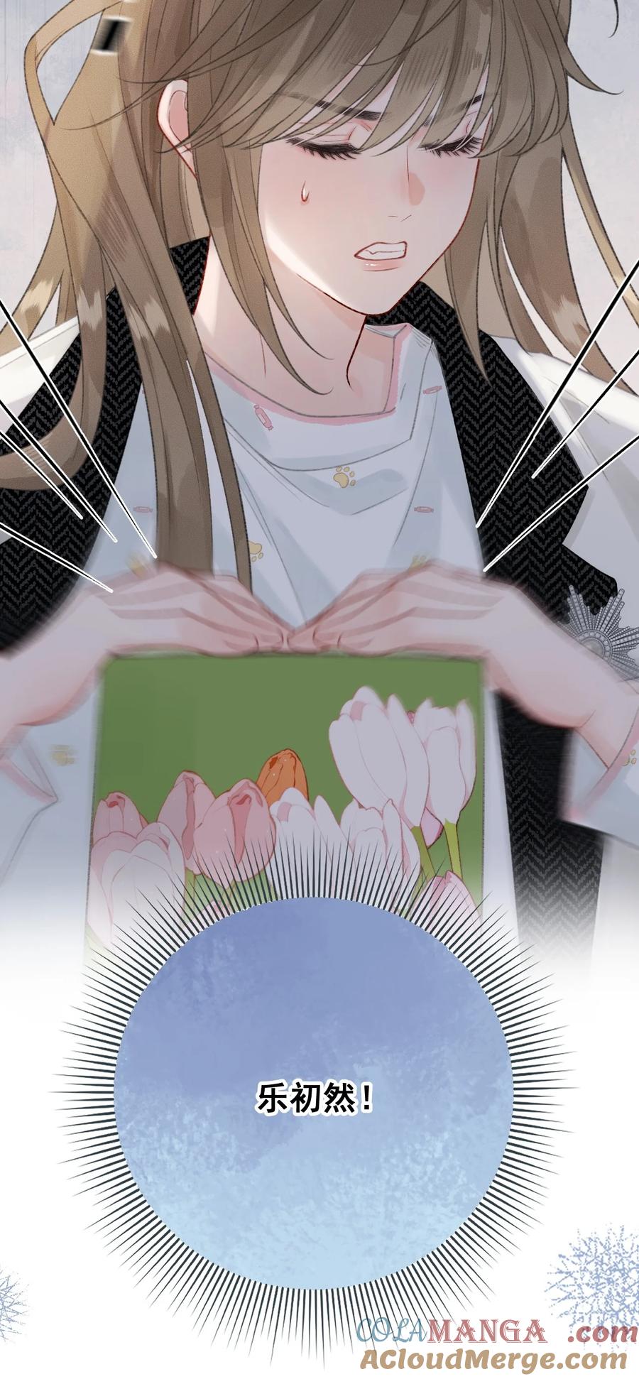 41.jpg