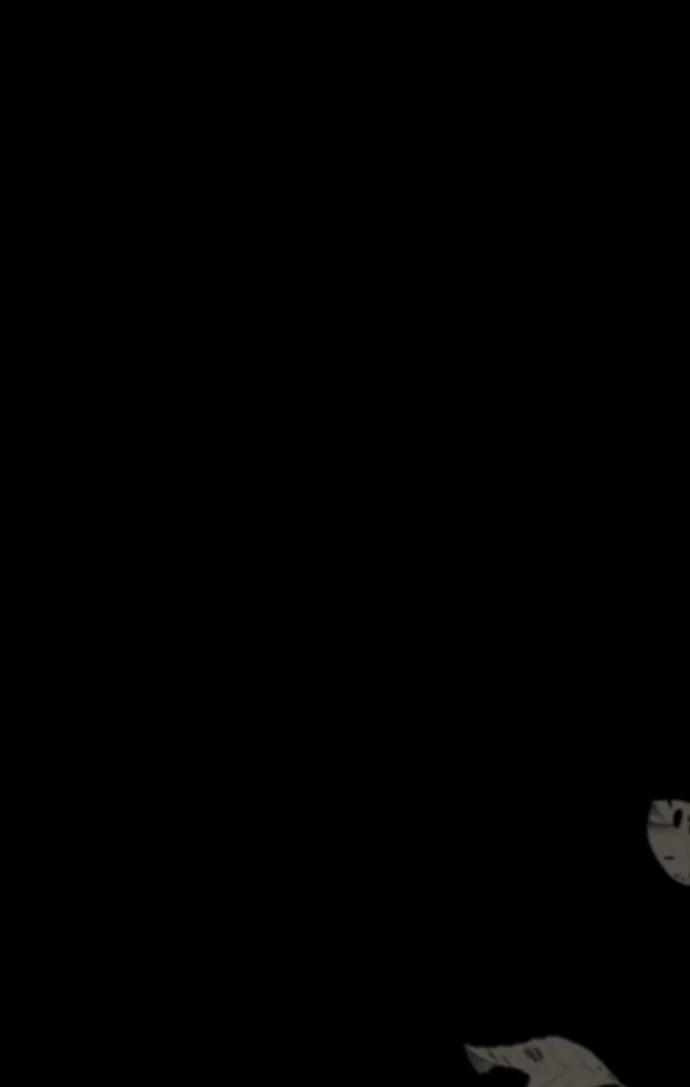 84.jpg