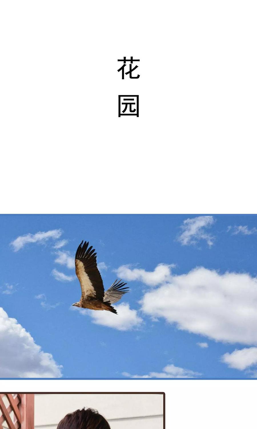 第26话-假面A计划-剧能玩（第2张）