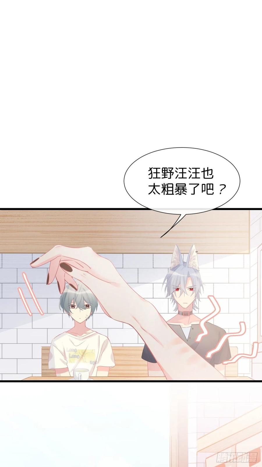 ◆11下◆临时标记？-巧克力于犬是禁止事项-林炭炭×假年糕（第2张）