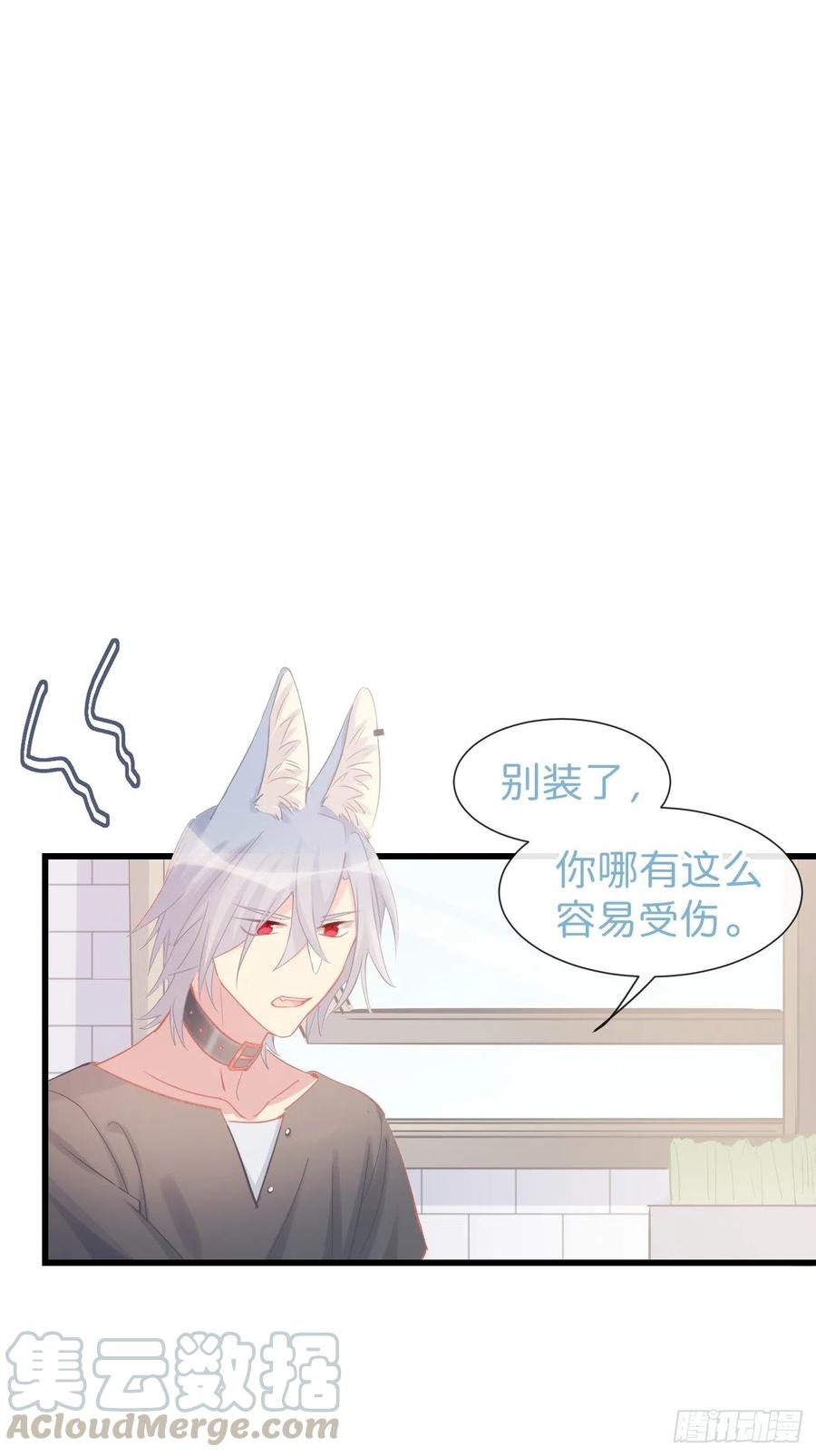 ◆11下◆临时标记？-巧克力于犬是禁止事项-林炭炭×假年糕（第4张）