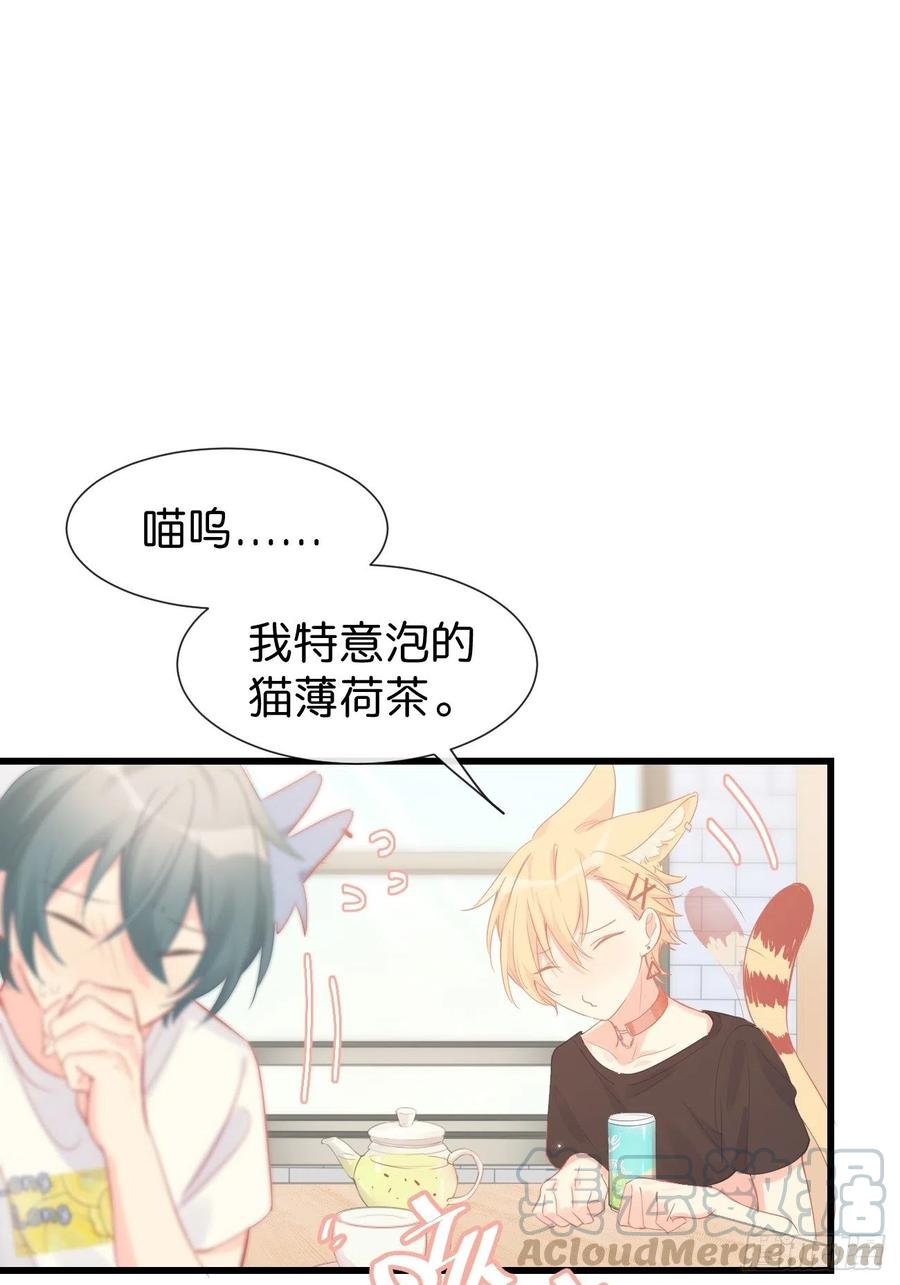 ◆11下◆临时标记？-巧克力于犬是禁止事项-林炭炭×假年糕（第7张）