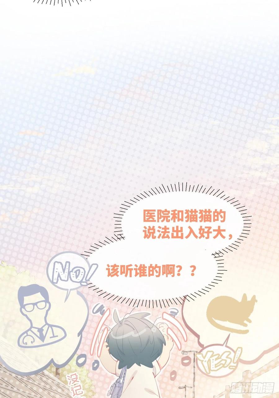 ◆14下◆好用吗？-巧克力于犬是禁止事项-林炭炭×假年糕（第5张）