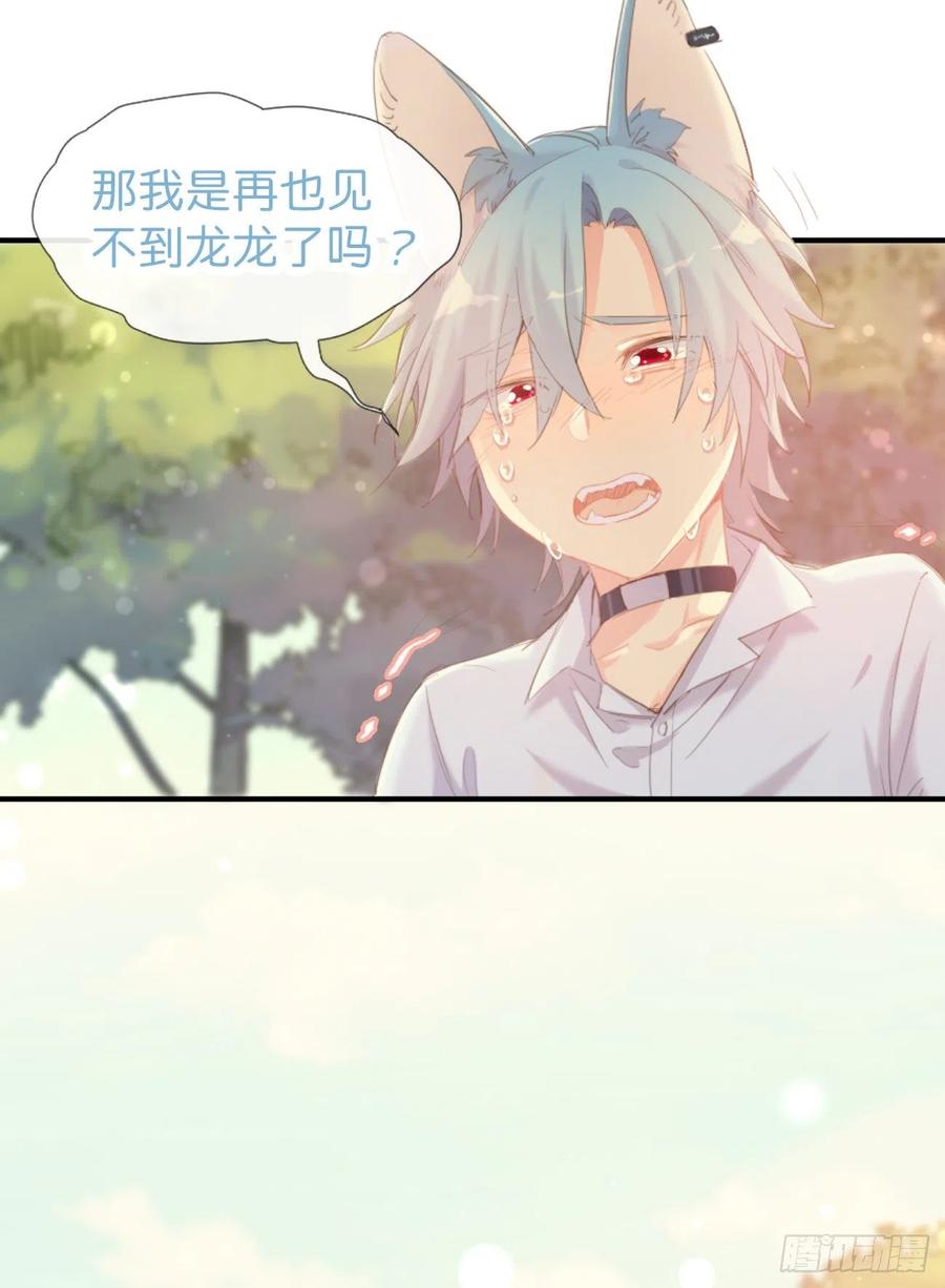 ◆02下◆喜欢！-巧克力于犬是禁止事项-林炭炭×假年糕（第11张）