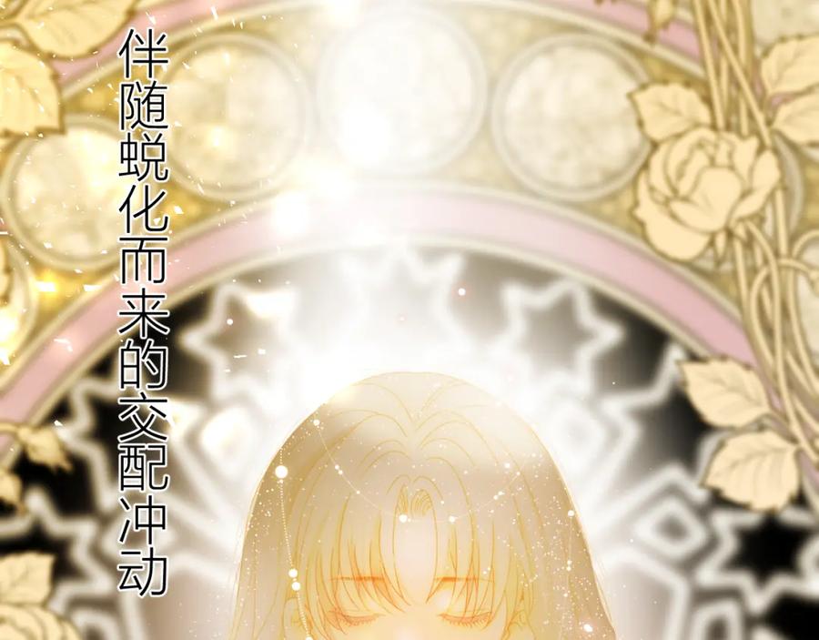 第48话最佳匹配型-七大奇迹-王的眼泪-尤寒（第1张）