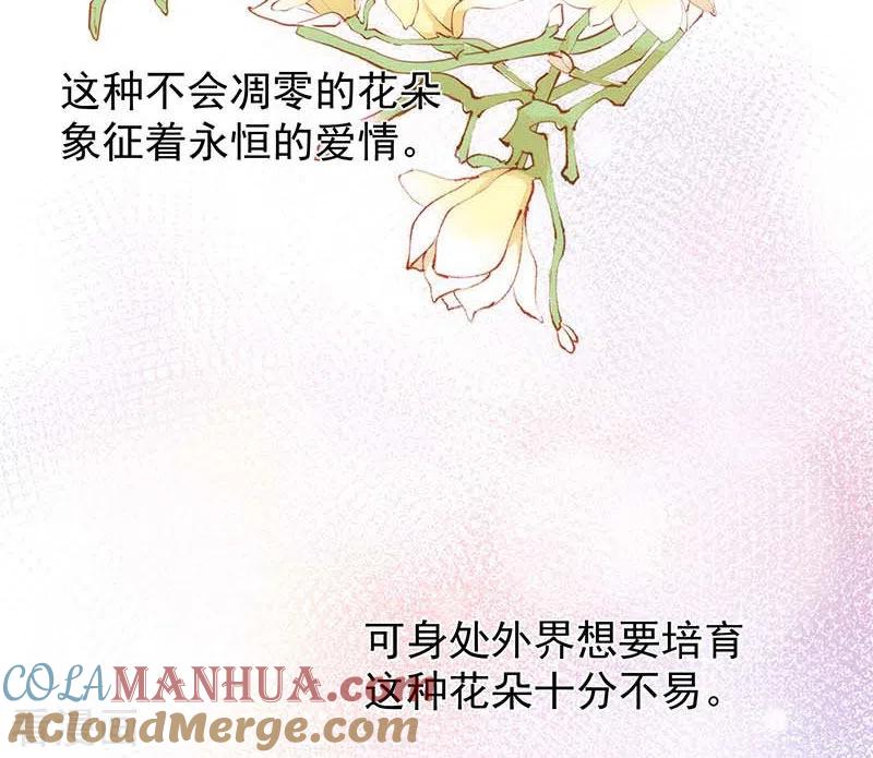 第59话致佩妮娅-奇怪的情敌增加了-白夜漫画工作室（第37张）