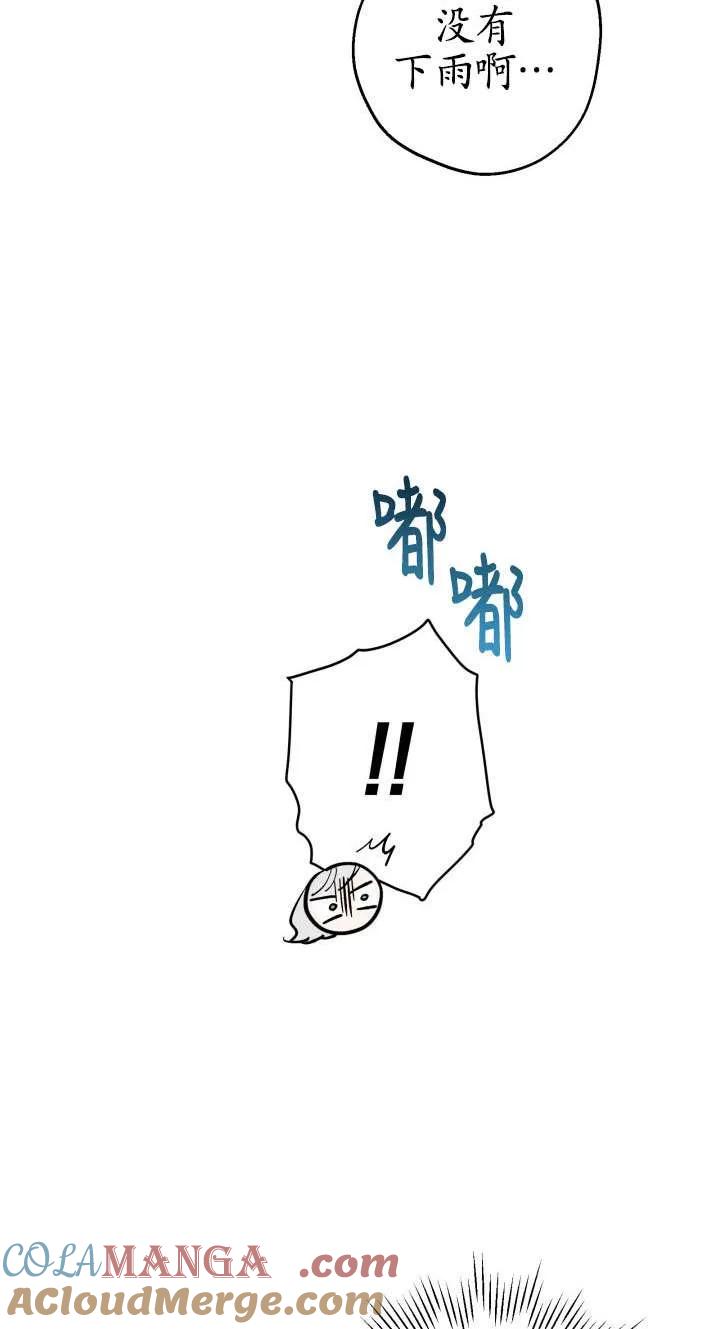 64.jpg