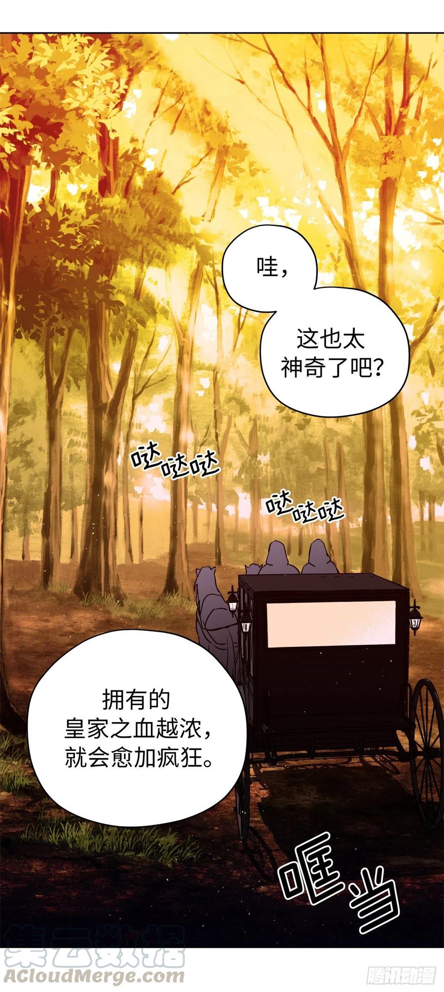 189.重获安宁的安珂利皇子-琪拉的美男图鉴-Reffe,Taesun（第3张）