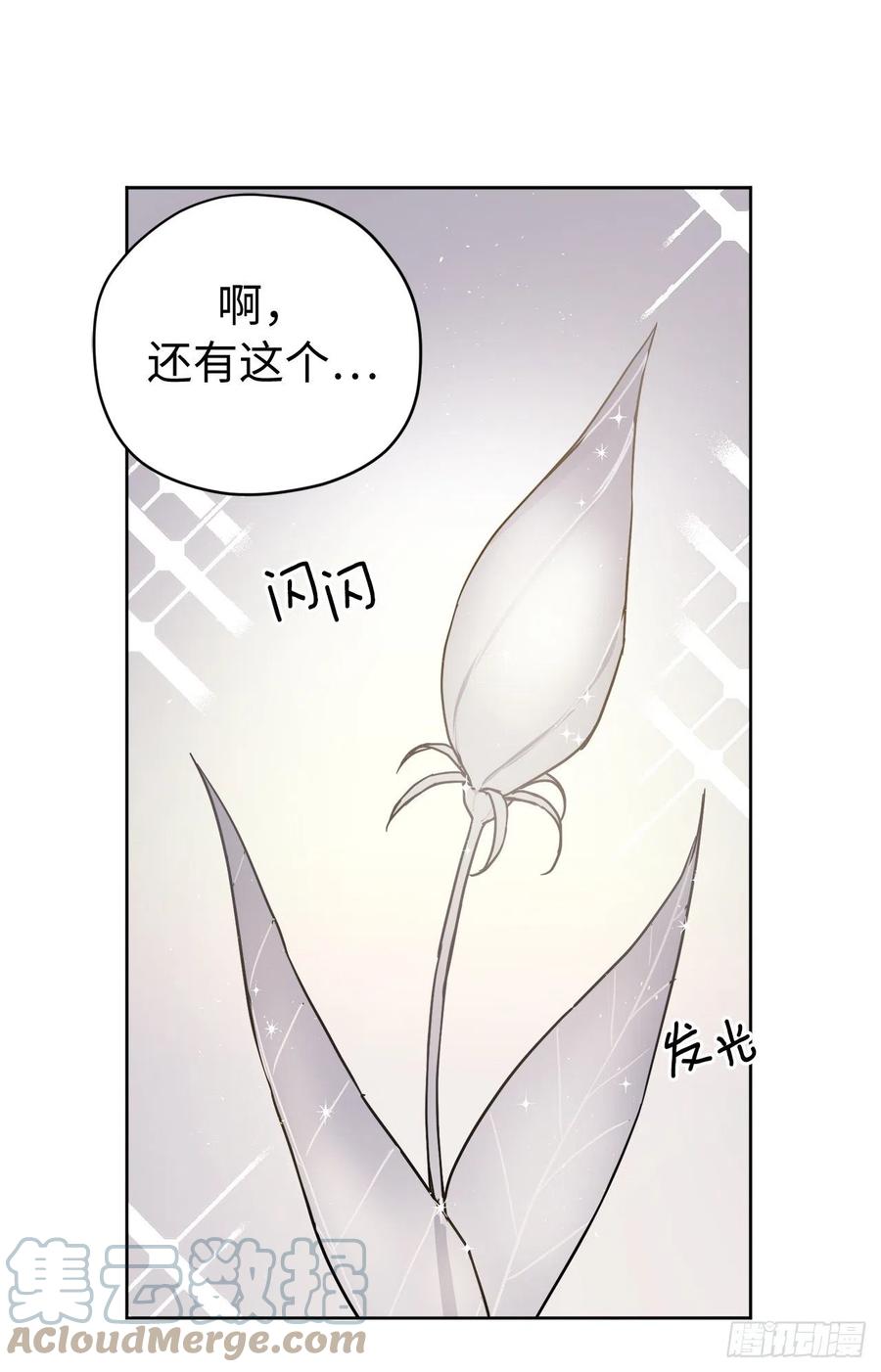 234.能干的菲尔巴丹-琪拉的美男图鉴-Reffe,Taesun（第29张）