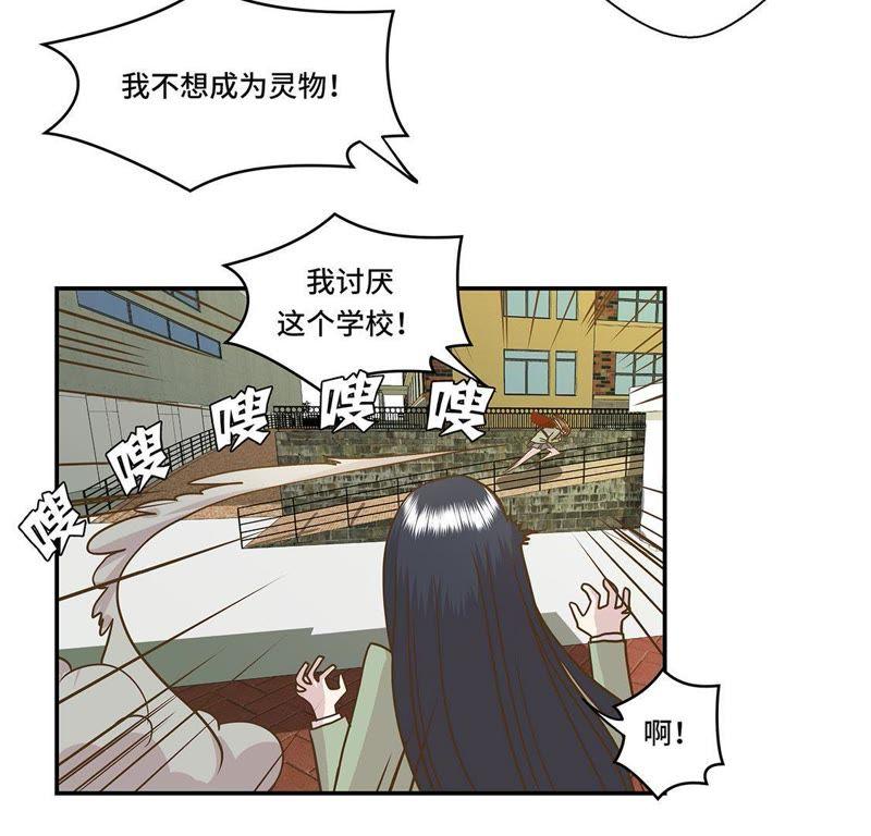 第二话偶遇（上）-奇妙的动物高中-一漫文化（第22张）