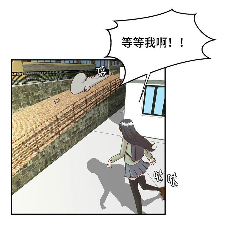 第二话偶遇（上）-奇妙的动物高中-一漫文化（第26张）