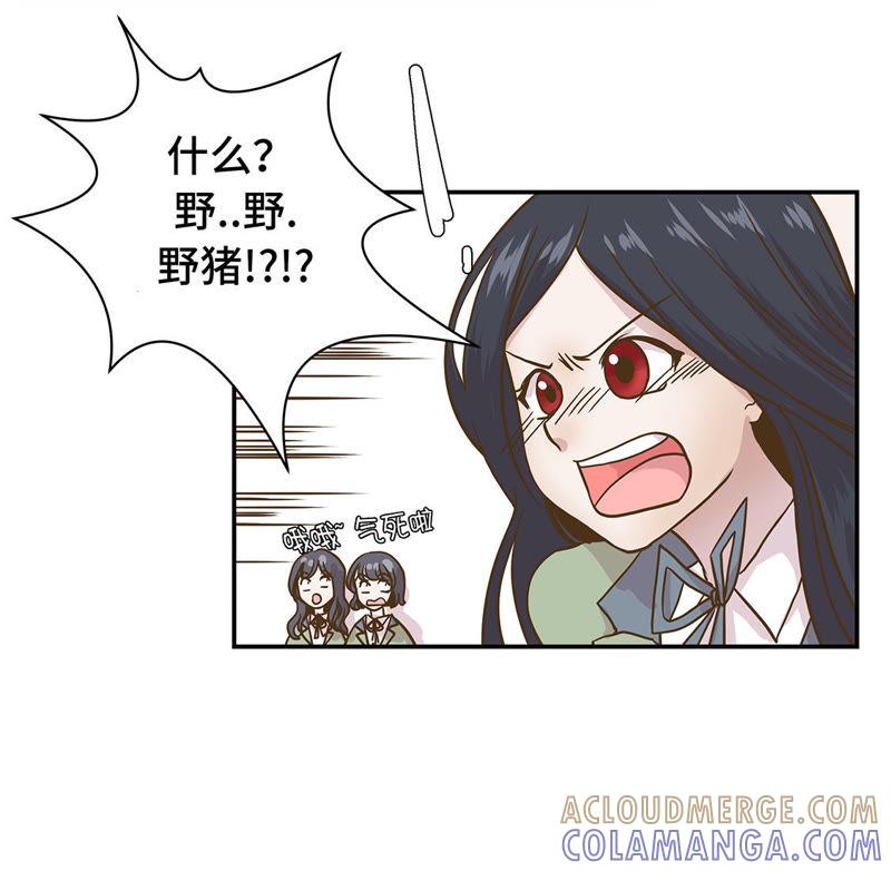 第八话展示能力吧（上）-奇妙的动物高中-一漫文化（第13张）
