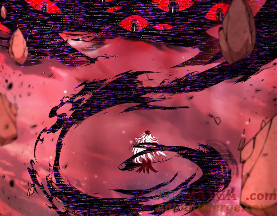 229.jpg