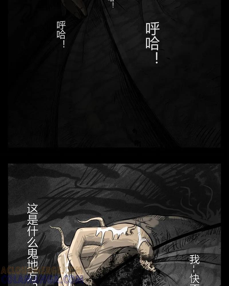 第17章：老师(一)-西陵学院灵异短篇集-山绿米（第5张）