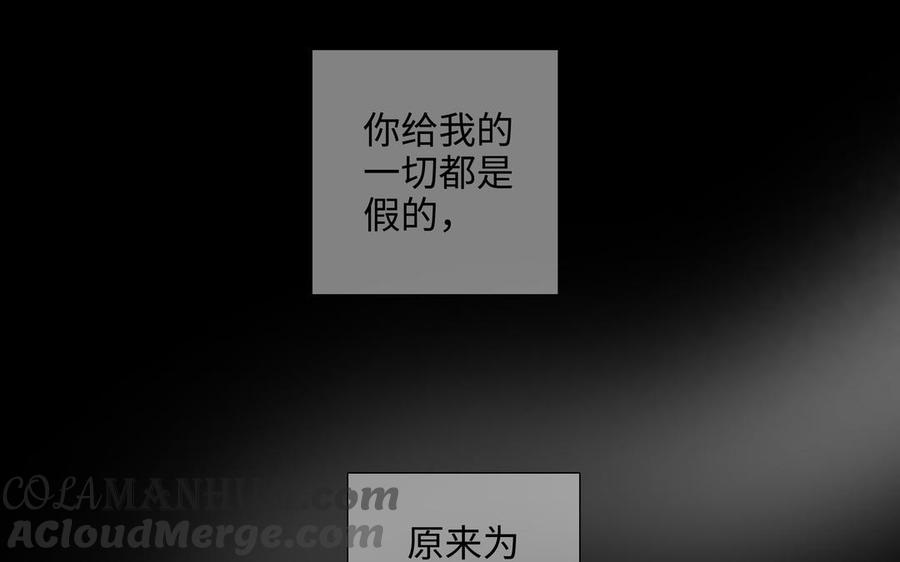 81.jpg