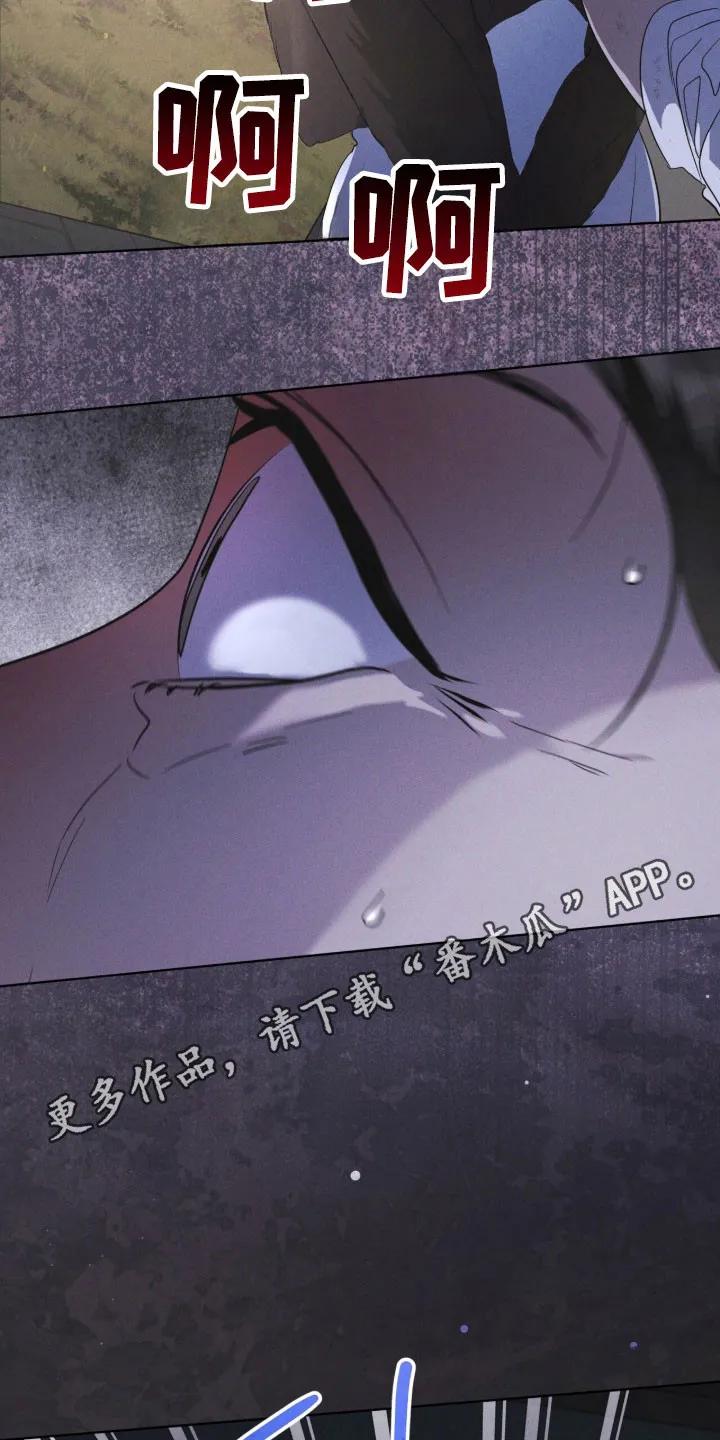 第172章：【第三季】宝藏仓库-彩虹城-Pnaiuenm（第2张）
