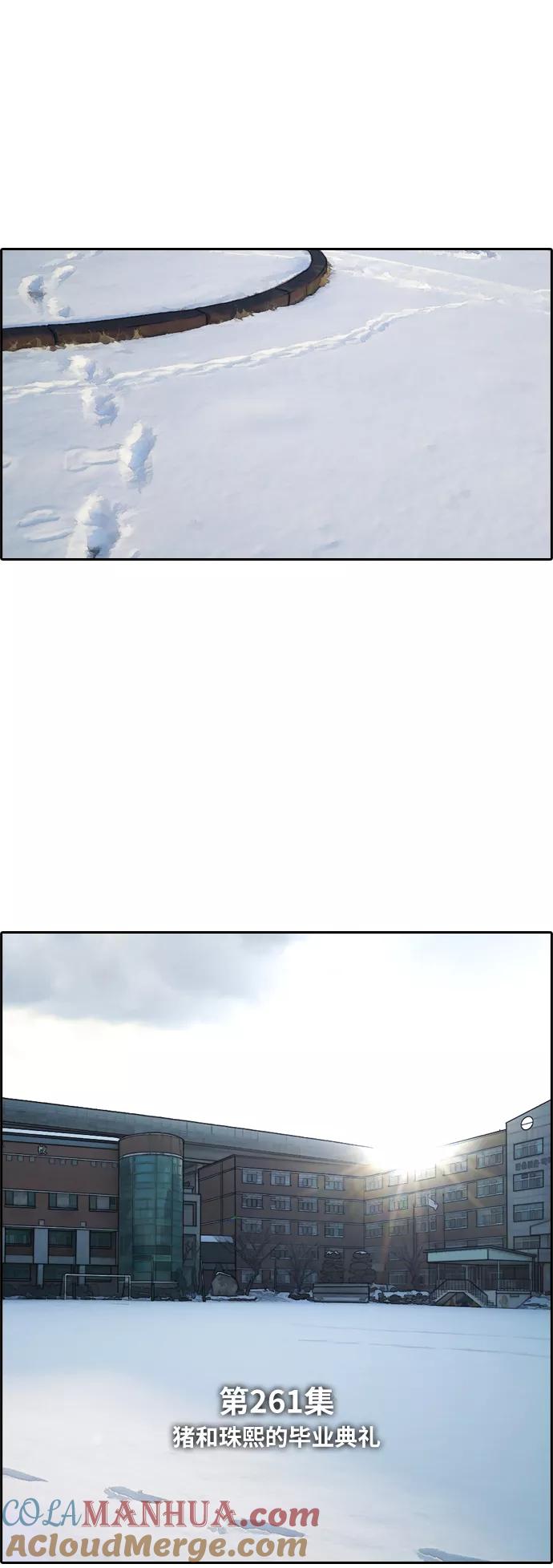 46.jpg