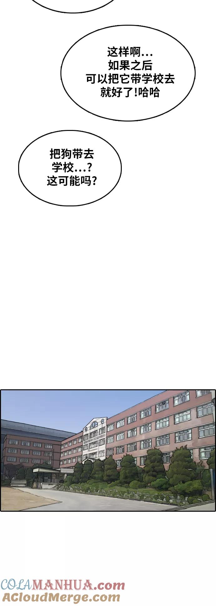 49.jpg