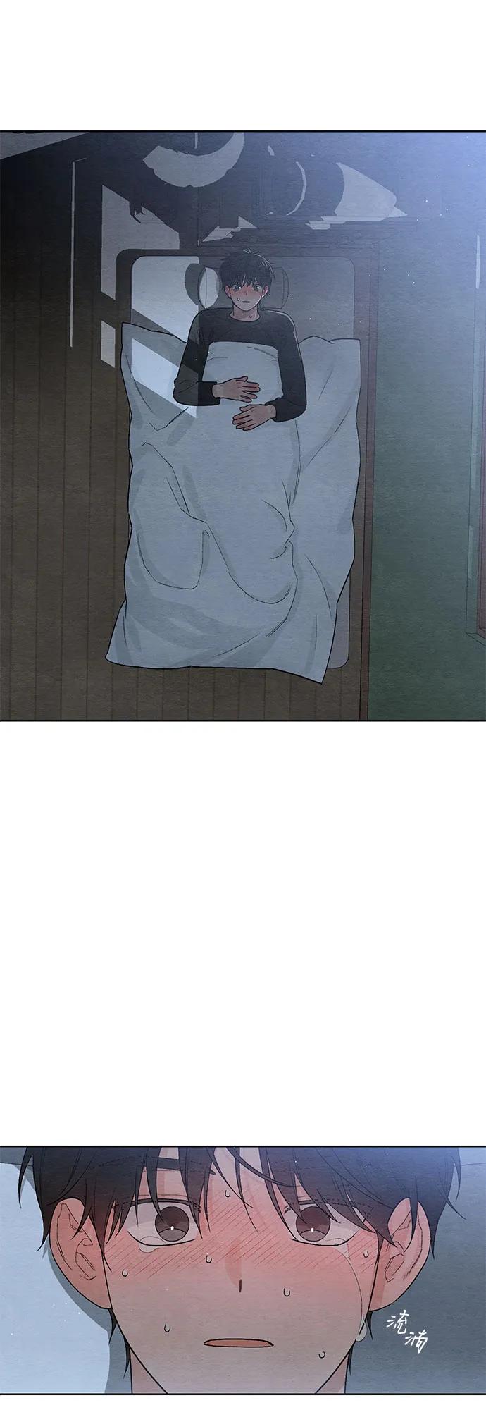 46.jpg