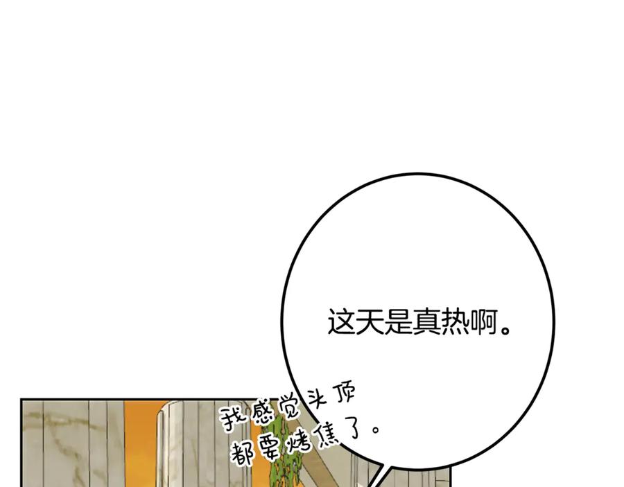 144.jpg
