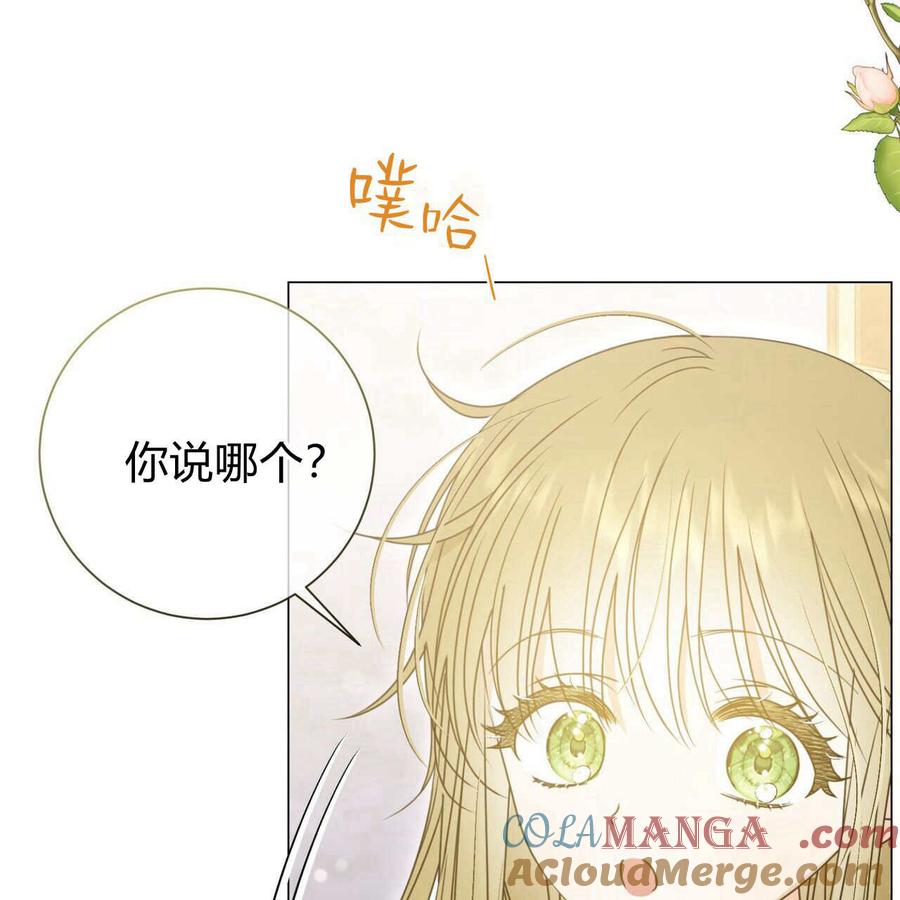 第21话-拜托放过艾米丽小姐吧-서정（第5张）