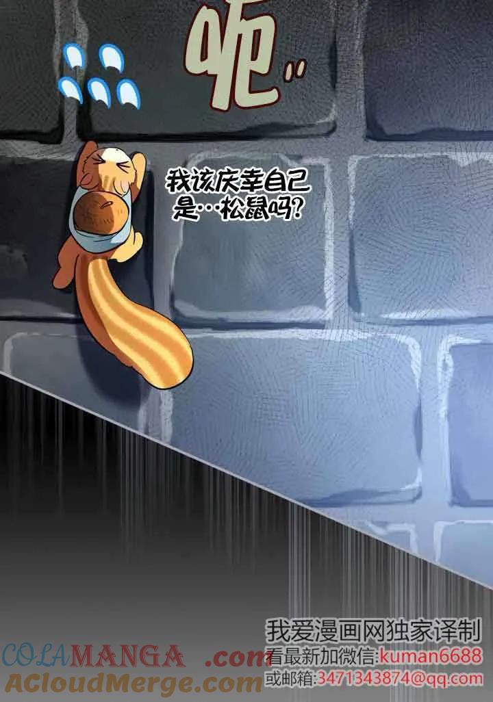 89.jpg