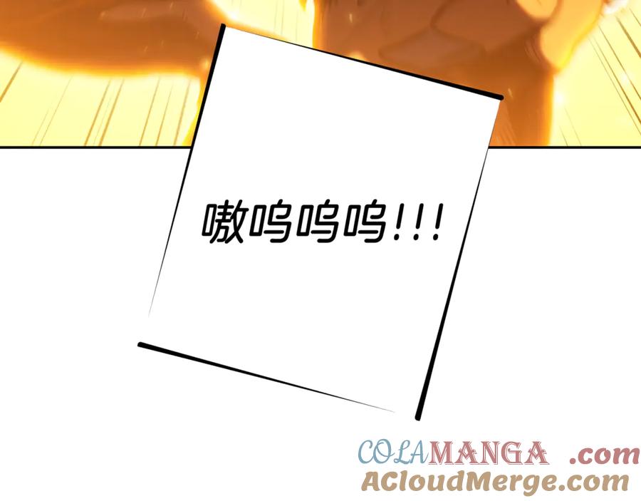 221.jpg