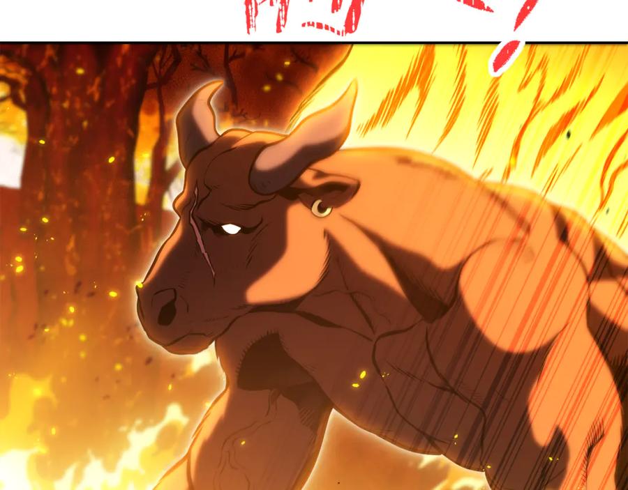 223.jpg