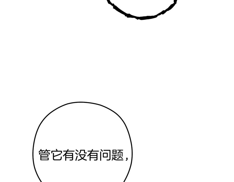 263.jpg