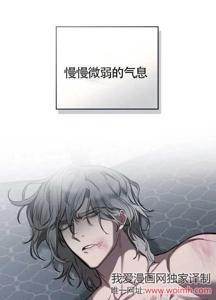 81.jpg