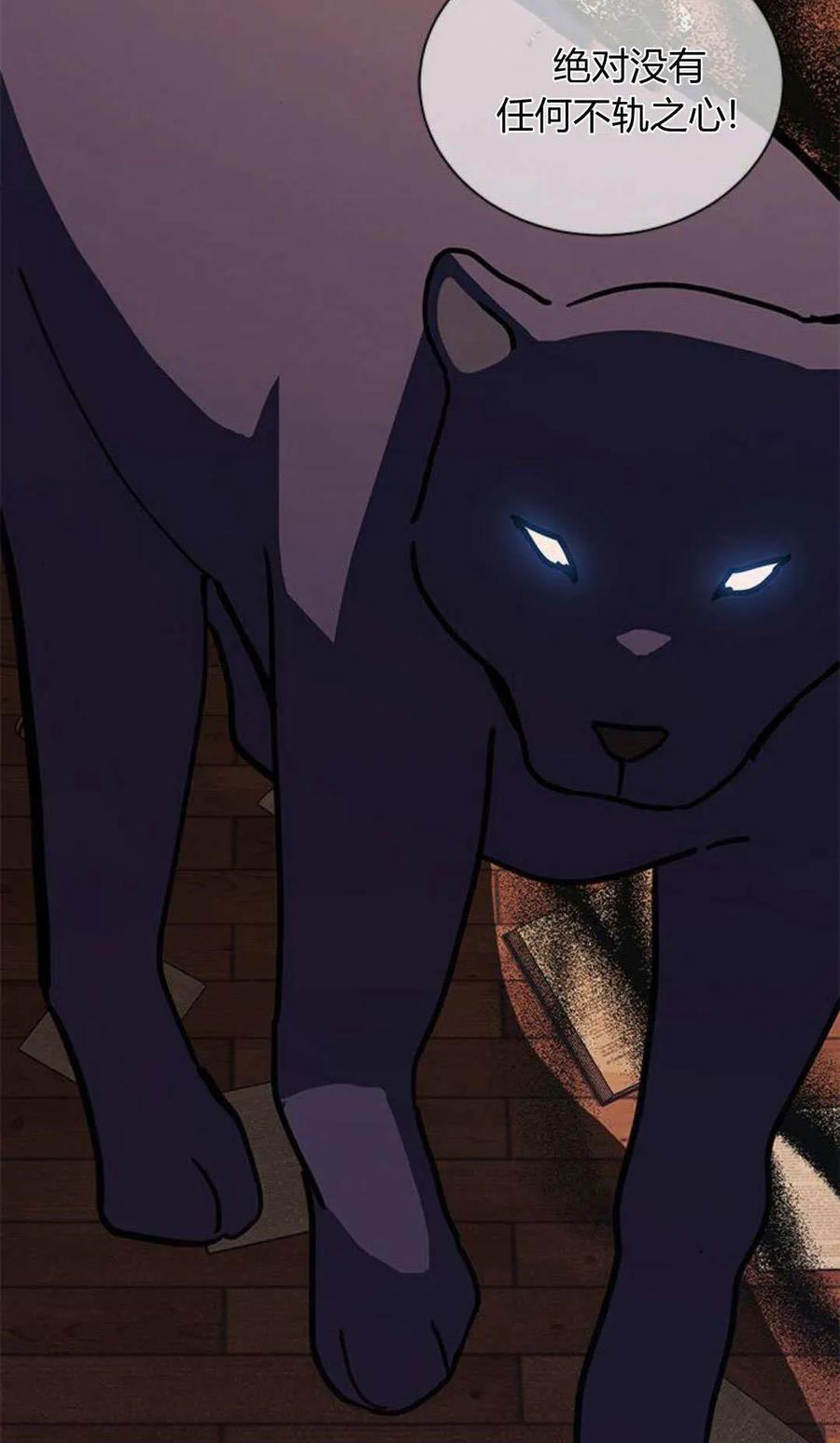 第61话-明明是猫，却被狼族收养了？-노찬주（第24张）