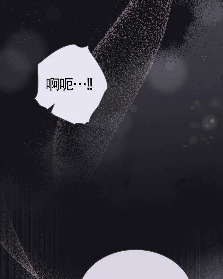 62.jpg