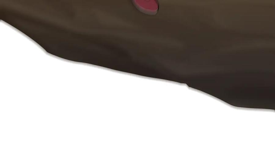 87.jpg
