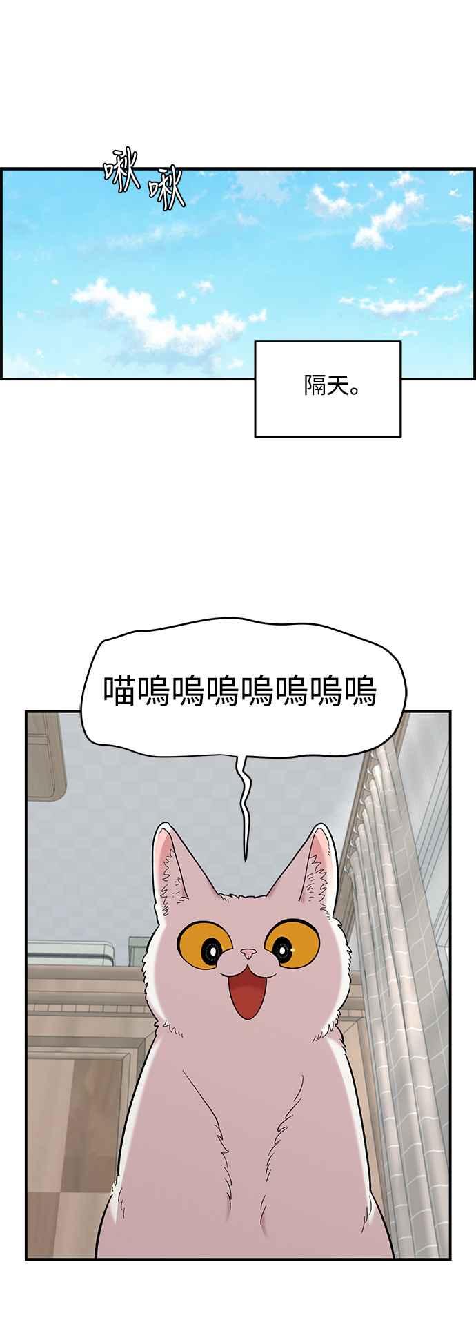 45.jpg