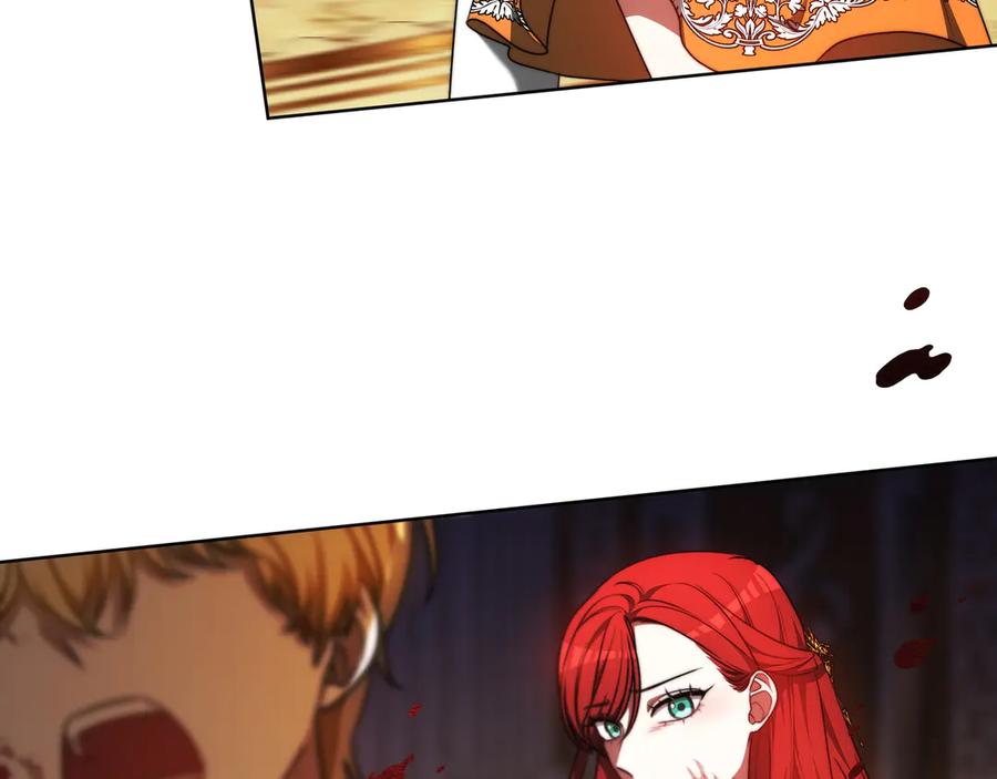 223.jpg