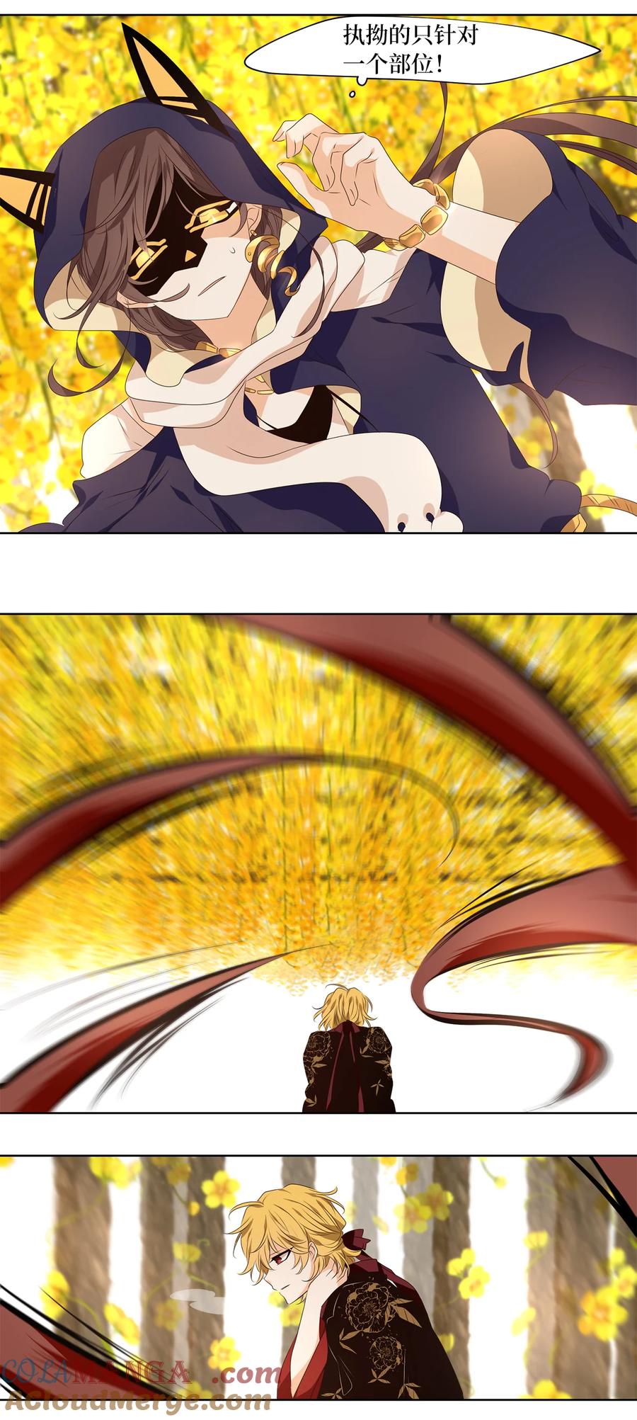 17.jpg