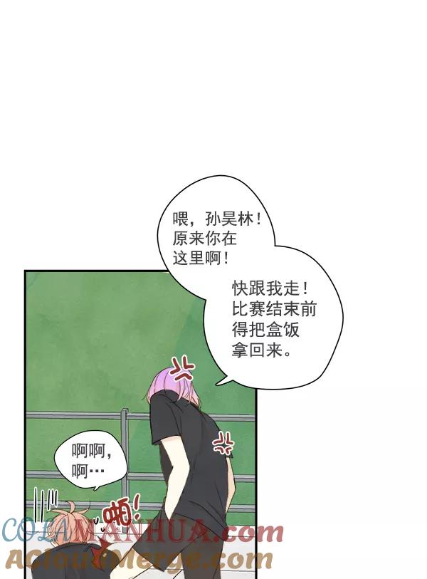 46.jpg
