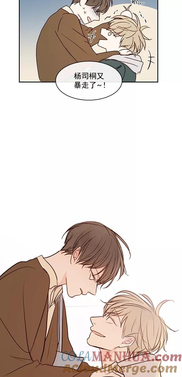46.jpg