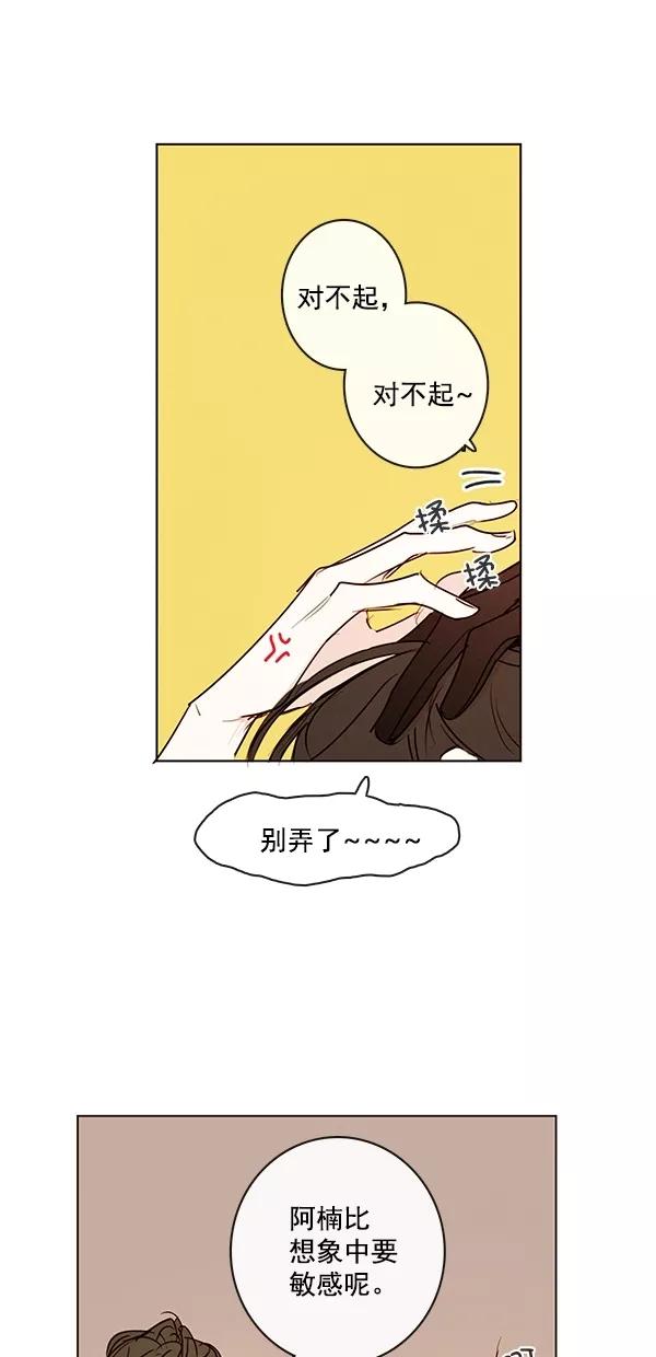 44.jpg