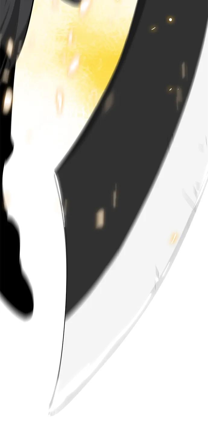 67.jpg