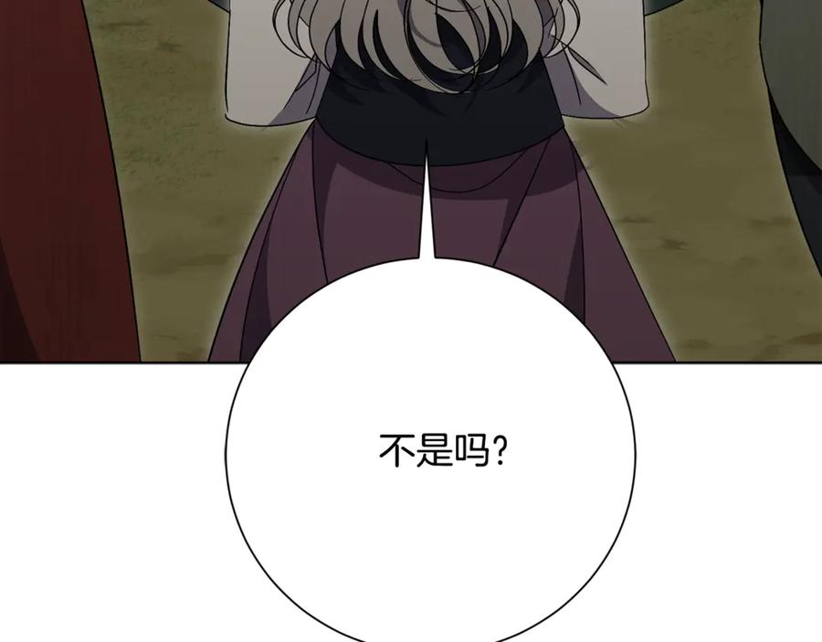 223.jpg