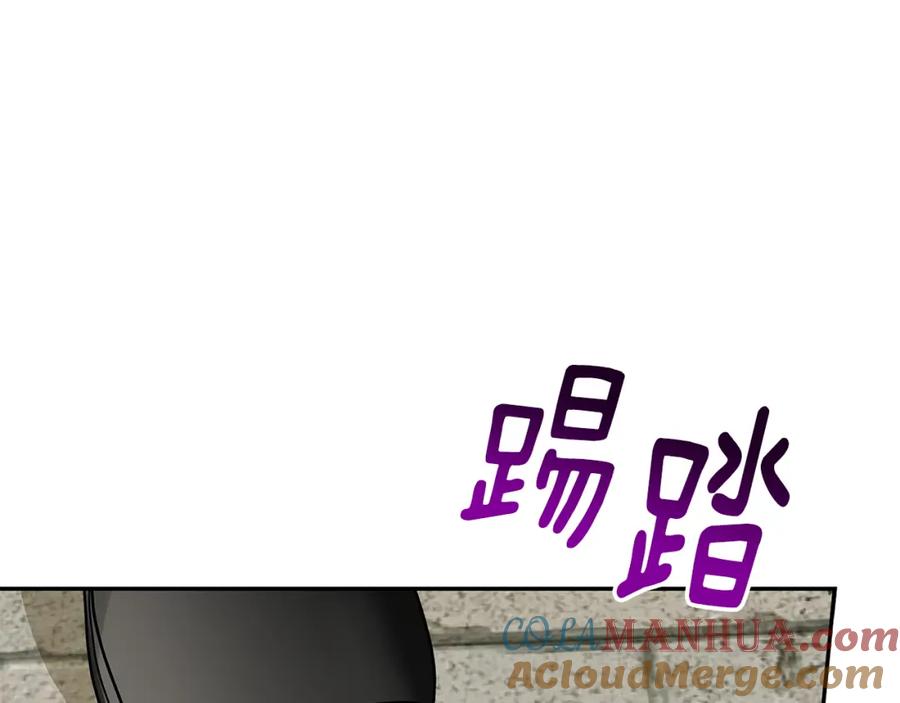 137.jpg
