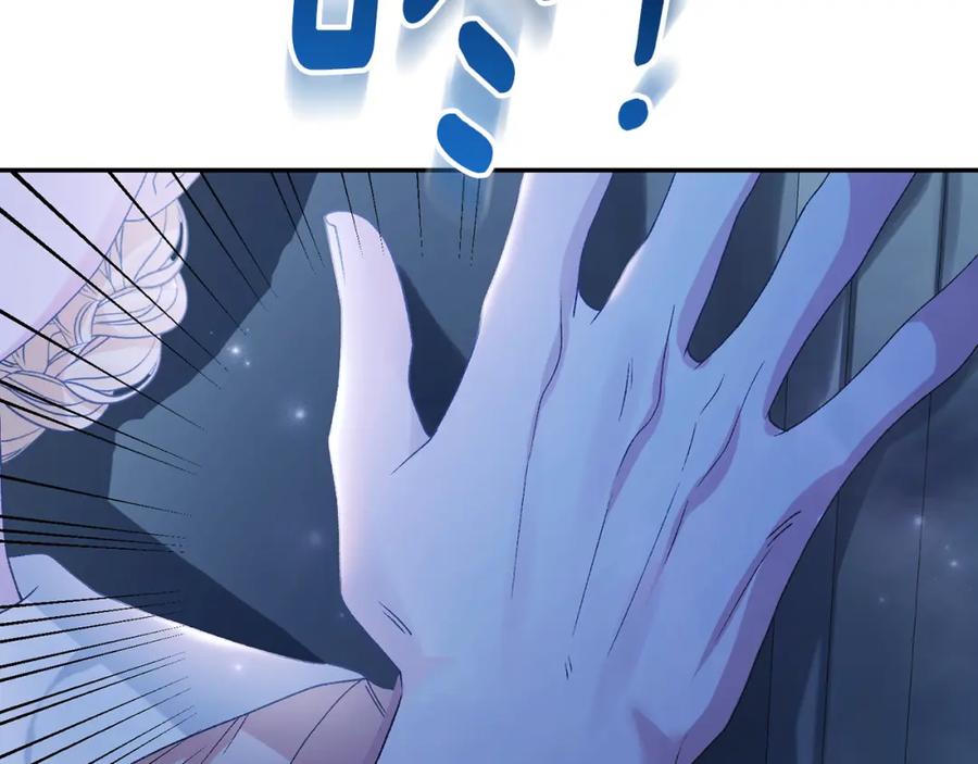 244.jpg