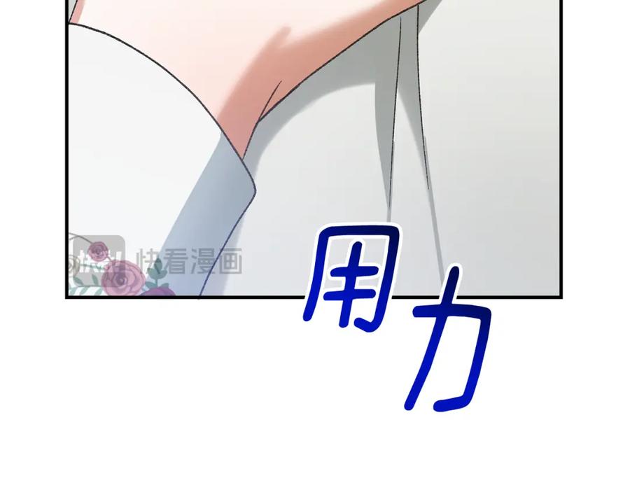 244.jpg