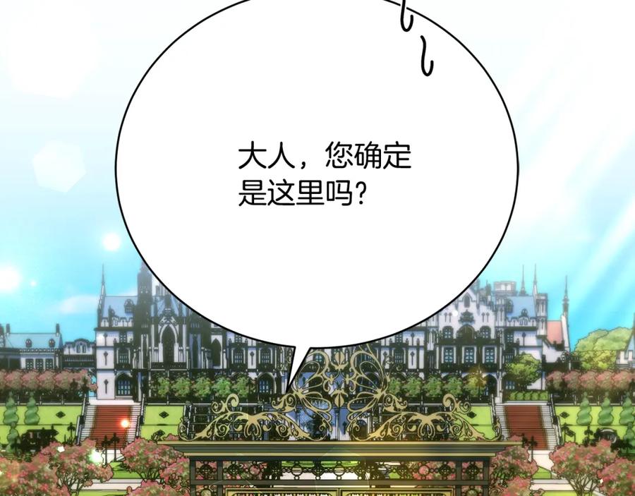 203.jpg