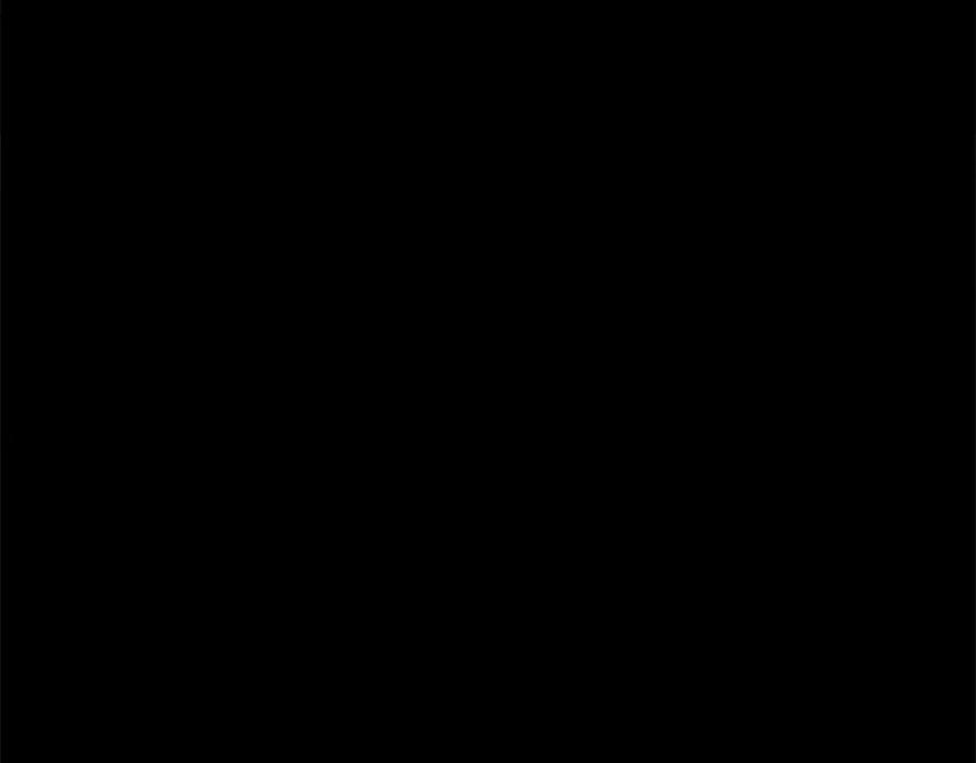219.jpg