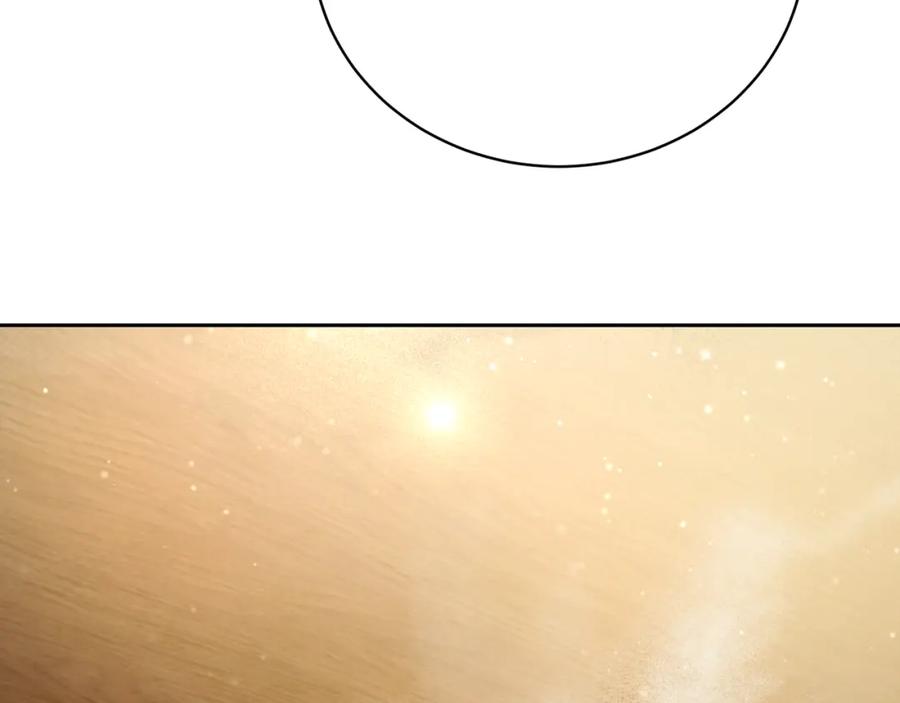223.jpg