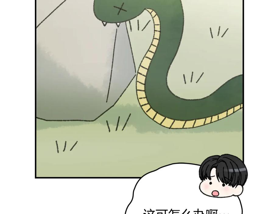 112.jpg